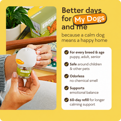 Settle Calming Diffuser for Dogs