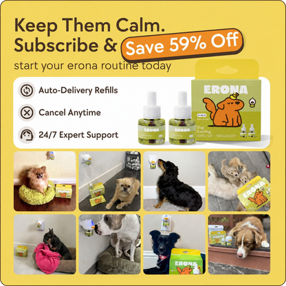 Settle Calming Diffuser for Dogs