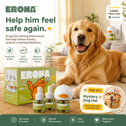 Settle Calming Diffuser for Dogs