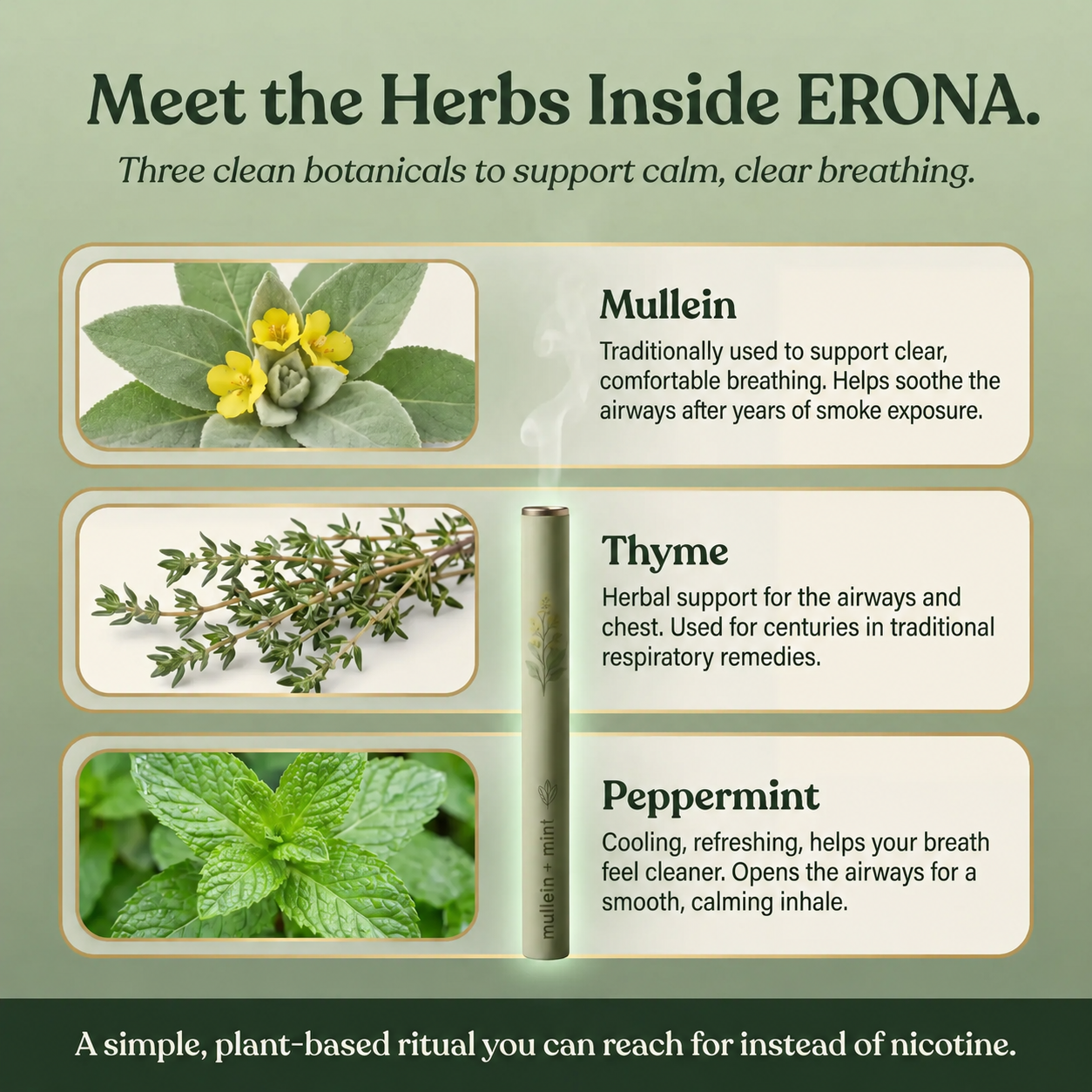 ERONA™ LungCleanse